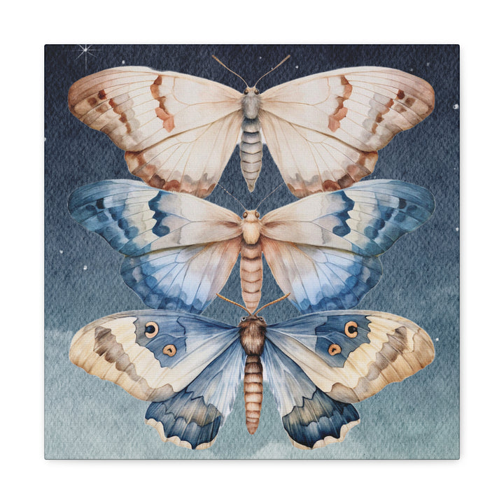 Trio of Moths in the Night Sky | Canvas Artwork