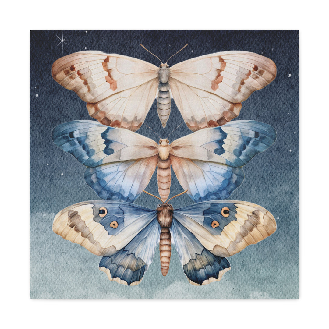Trio of Moths in the Night Sky | Canvas Artwork