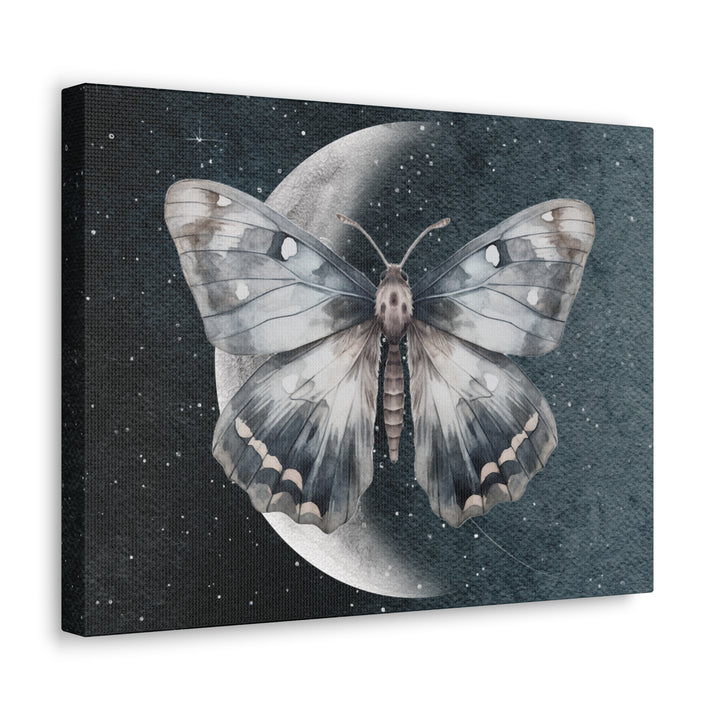 Shadow of the Crescent Moon Moth | Canvas Wall Art