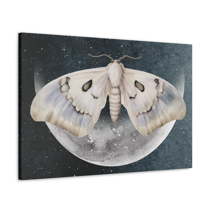 Luminous Moonlit Moth | Canvas Wall Art