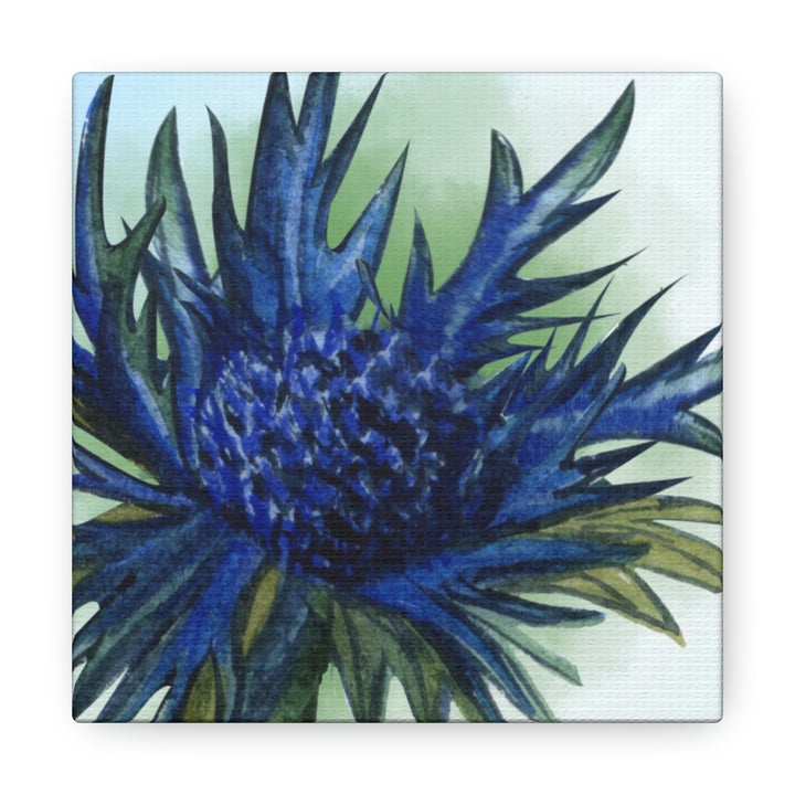 Prickly Blue Thistle Mini Canvas Artwork - 6 inch Color Pop Series Idylissa